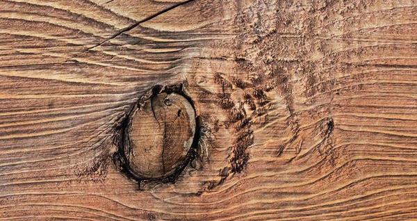 实木家具木料挑选关注点节子