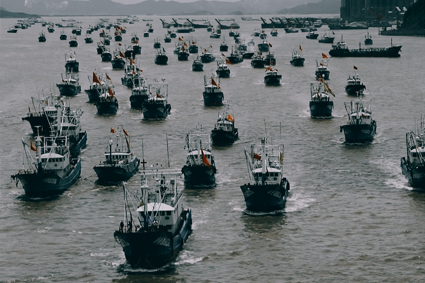 海鲜,海岛,海景,这是专属舟山的"一键三连"(出行篇)