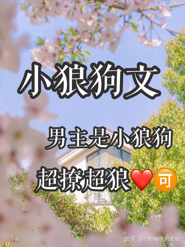 男主是小狼狗的小說,超撩超甜!佔有慾! - 知乎