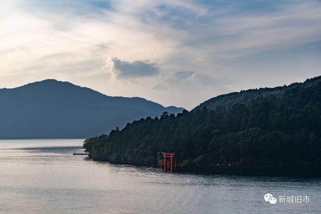仙石原芒草闪烁之外