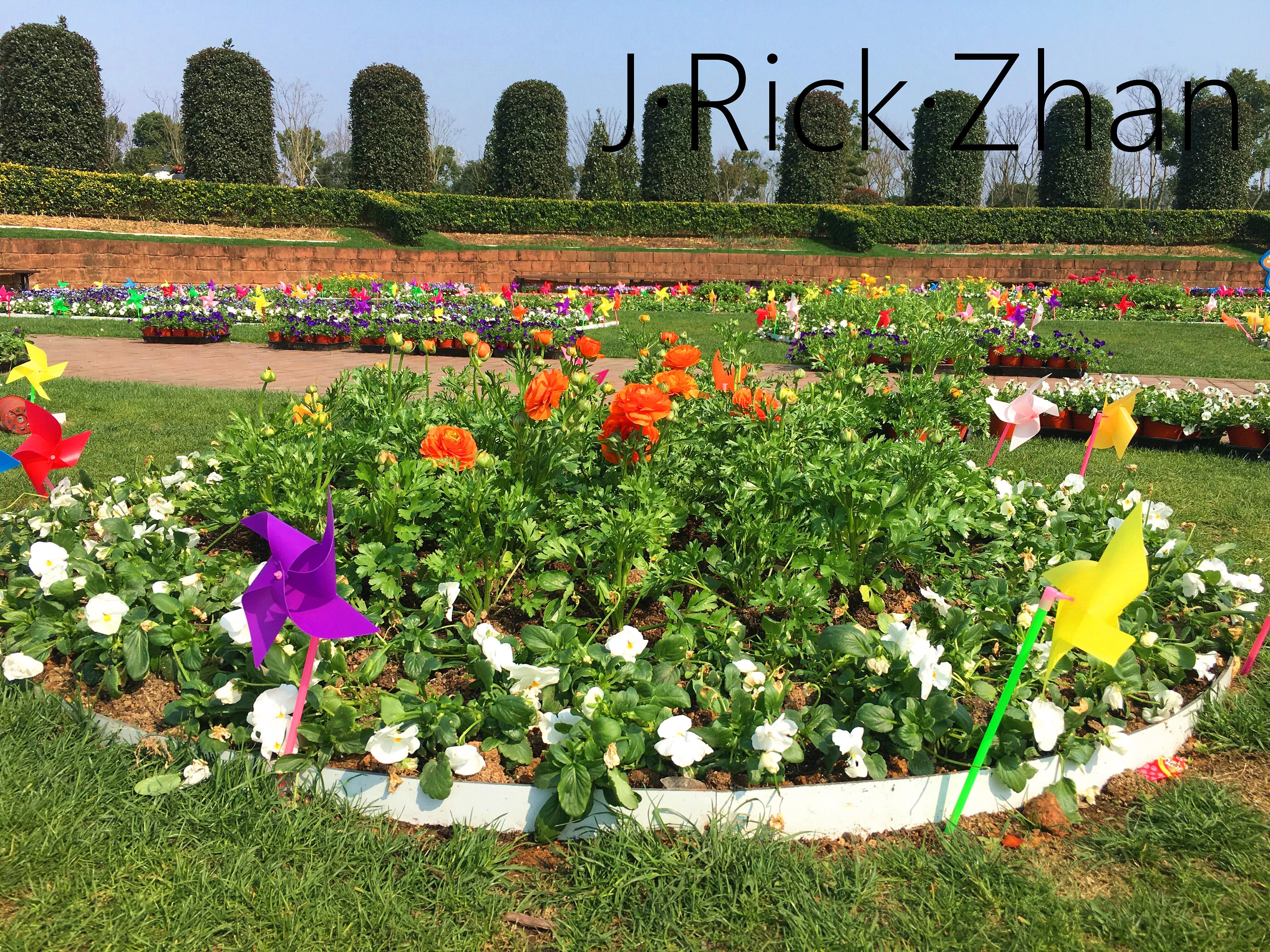 2,草花在下沉式广场中表达.神马你又不知道?