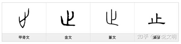止——每日一字·止部字 - 知乎
