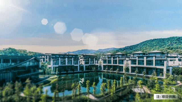 合生救场!珠光3盘重生,沥滘旧改有救? - 知乎
