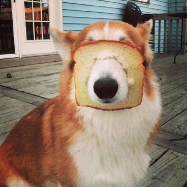 生肉和熟肉的本质区别是什么?