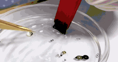 你所理解的机芯洗油是打开机芯点一点油