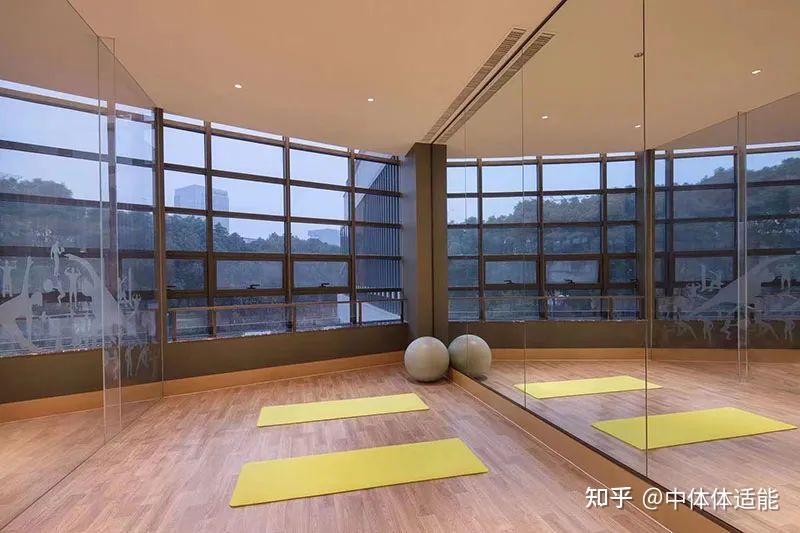 青禾游泳健身成为ibfa国际青少儿体适能等级考评基地