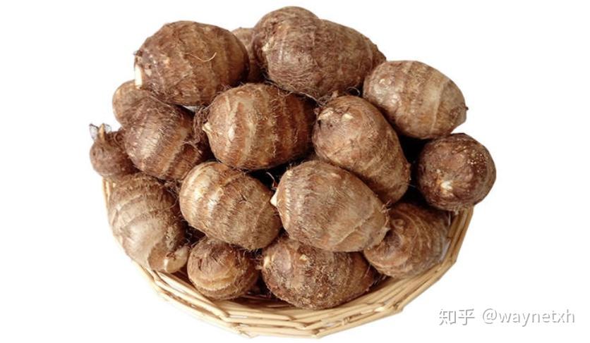 芋头有滋补作用常吃有益但一次不宜食用过多