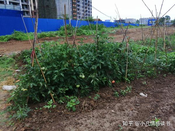 偶尔失眠怎么办睡不着觉 一整晚睡不着会猝死吗 失眠3个月了整夜没睡意