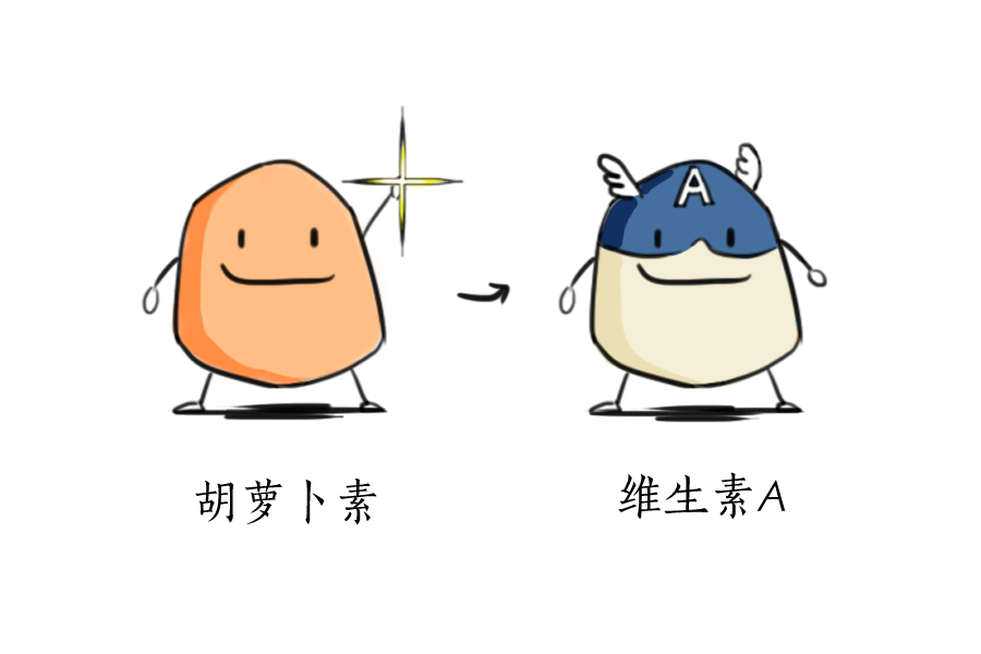 蔬菜中独领风骚的大番薯