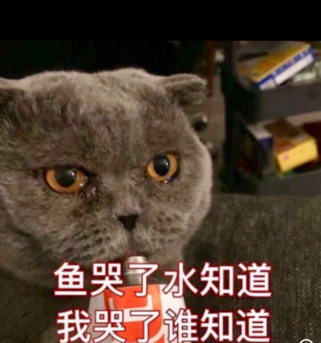 高考考完最后一科走出考场的一瞬间是什么感觉