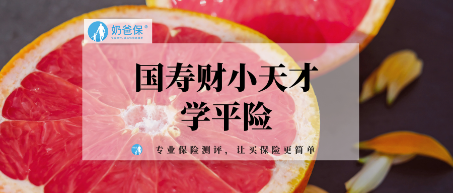 国寿财小天才学平险是中国人寿近