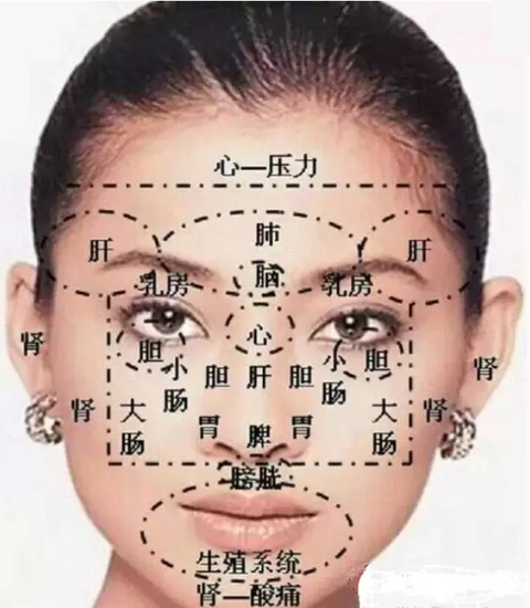 脸部血位置示意图图片