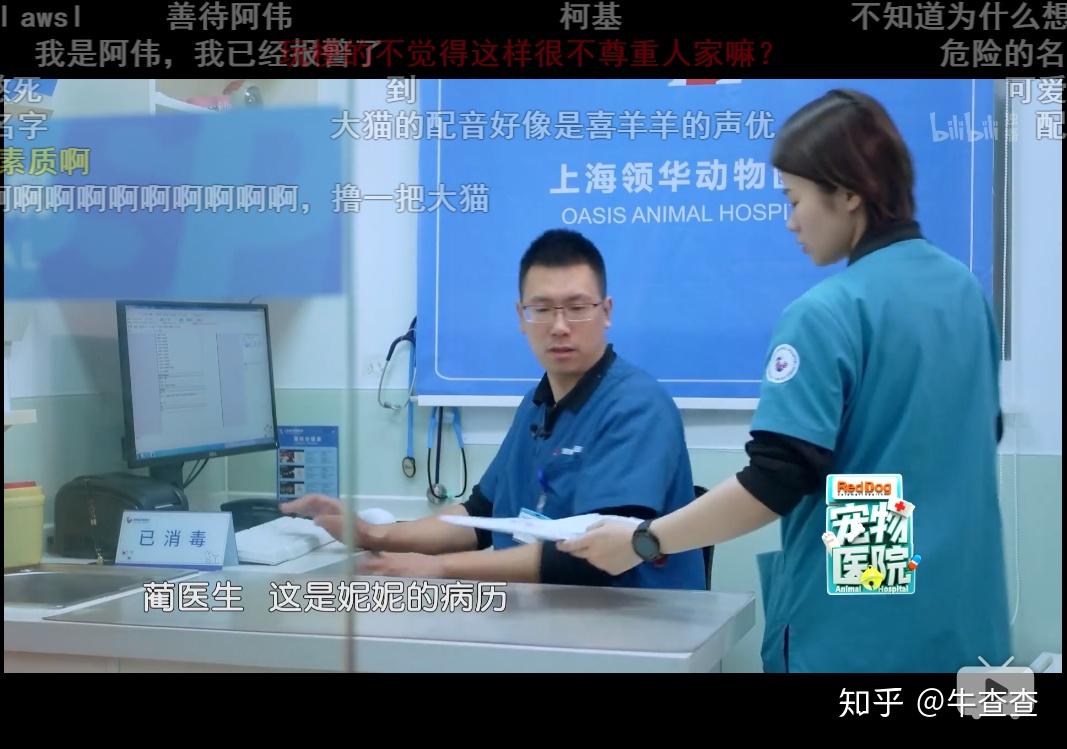 如何评价哔哩哔哩纪录片《宠物医院》?