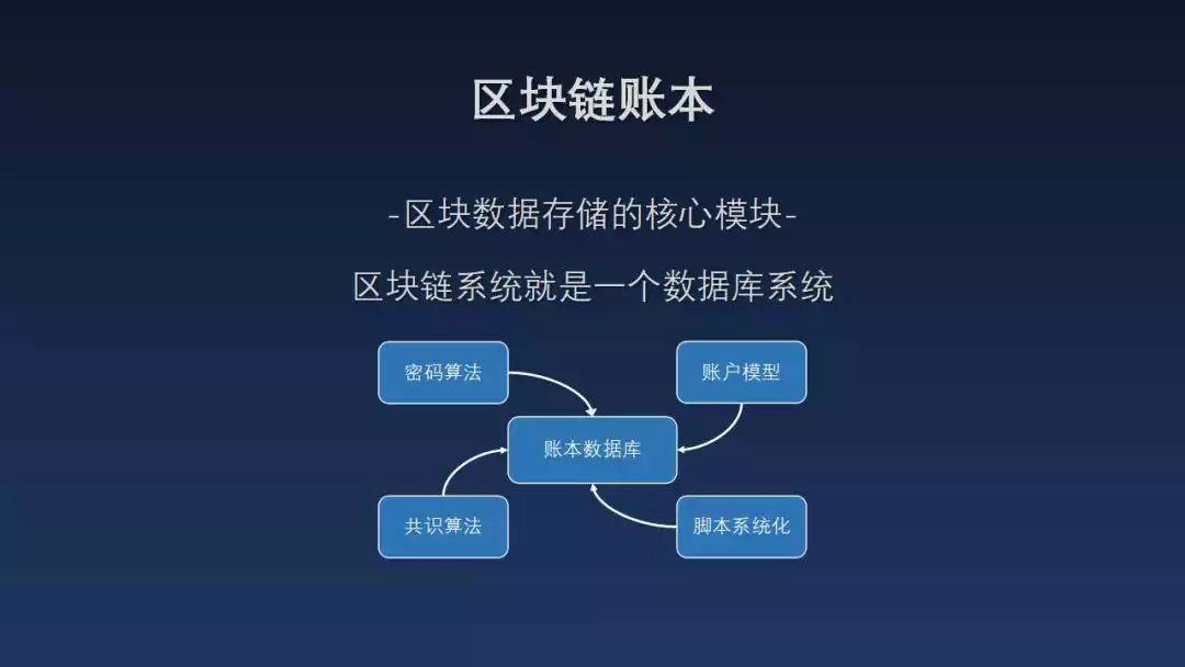 白话区块链(白话区块链APP下载)