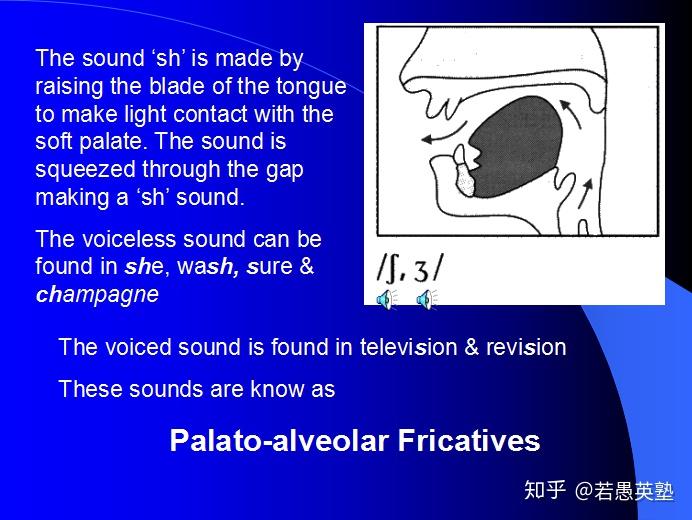 到底如何发 ʃ 和 ʒ这两个音 - 知乎
