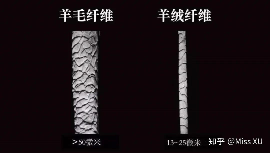 羊毛羊绒有啥区别?90%的人都不知道! - 知乎