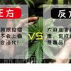 毒品科普 社交工具 大麻 知乎 毒品科普 社交工具 大麻 知乎