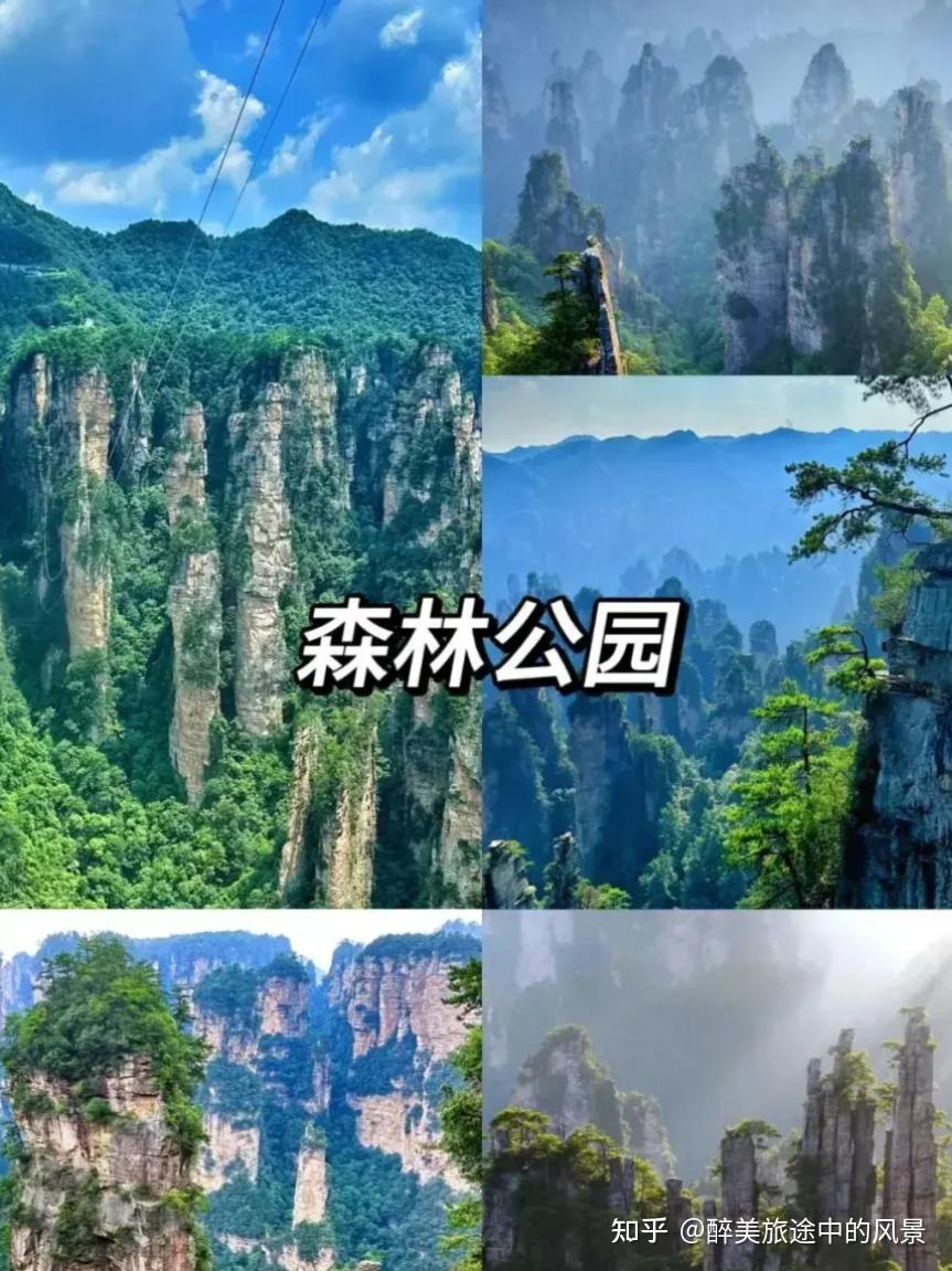7-8月张家界超全攻略，耗时一周整理了，行程路线+住宿推荐+花费明细+避坑指南，看完就能走，建议收藏起来 - 知乎