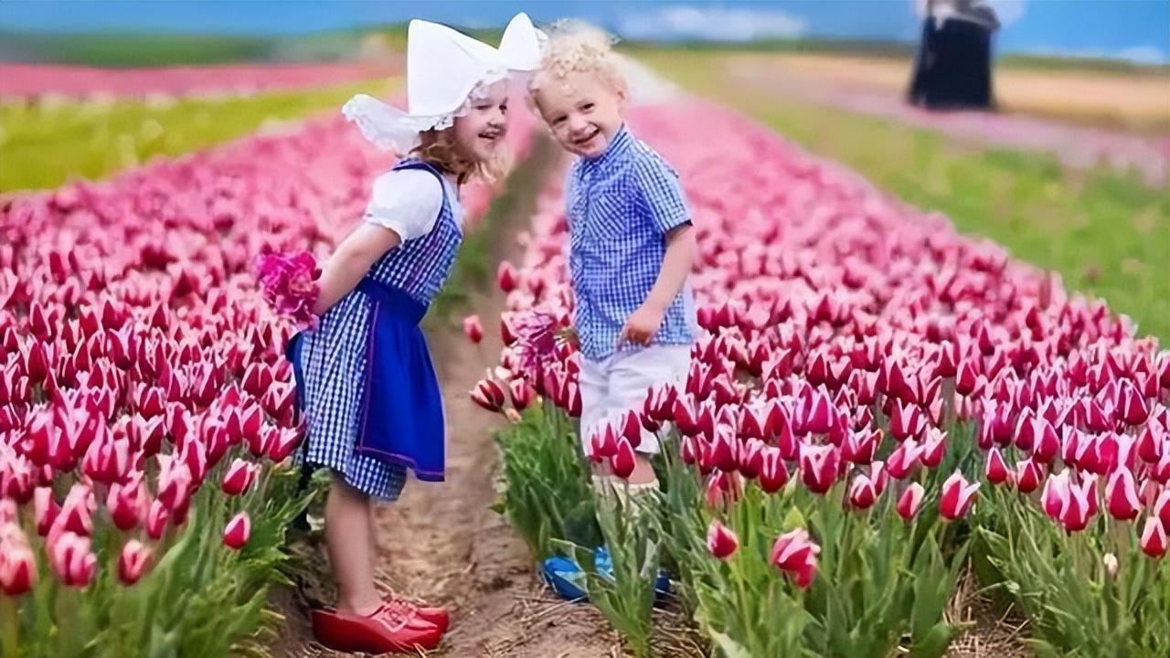 海外生活:与荷兰人打交道的一些常识 - 知乎