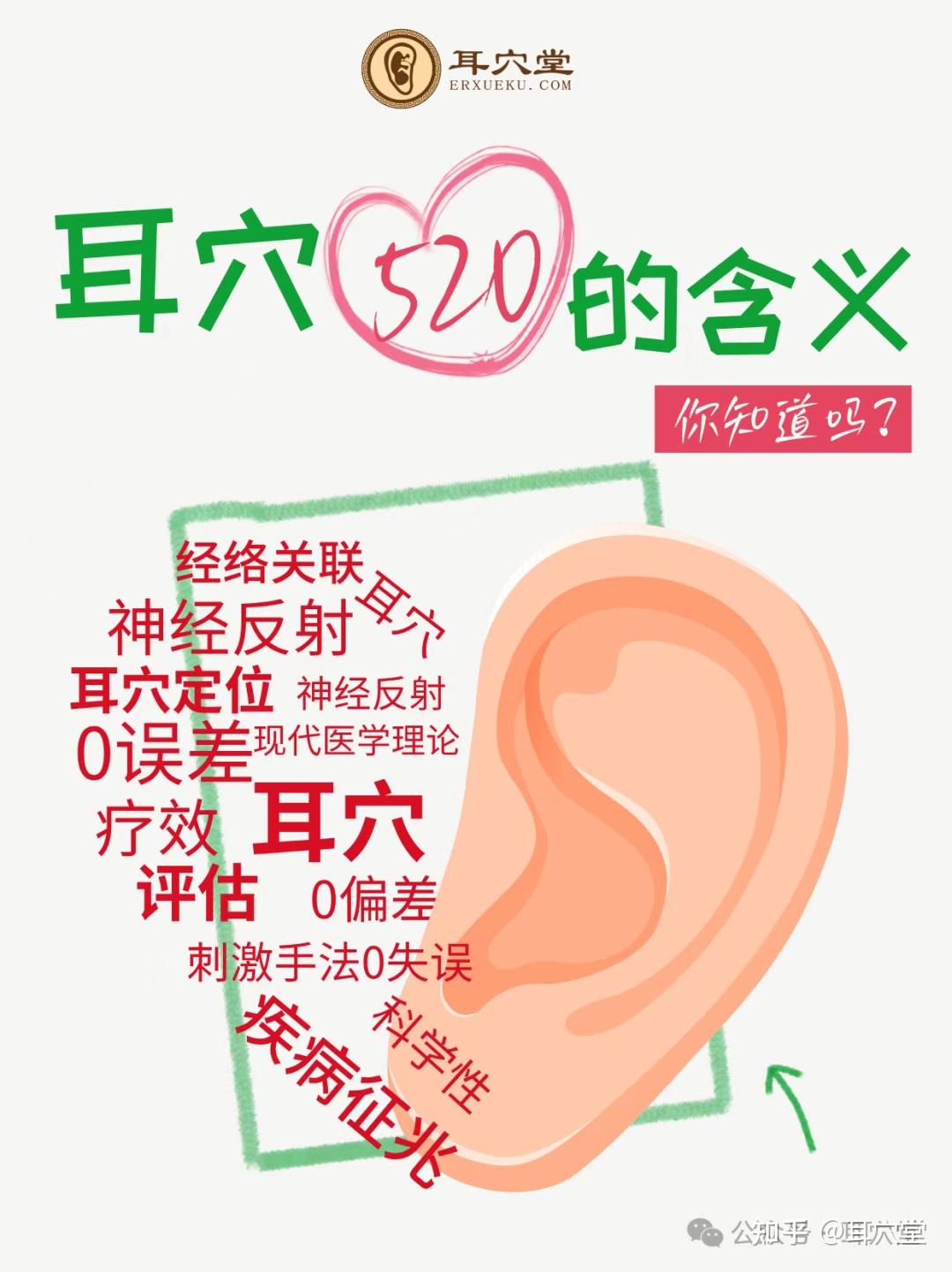 耳穴的“520”-5个定位、2个结合、0误差- 知乎