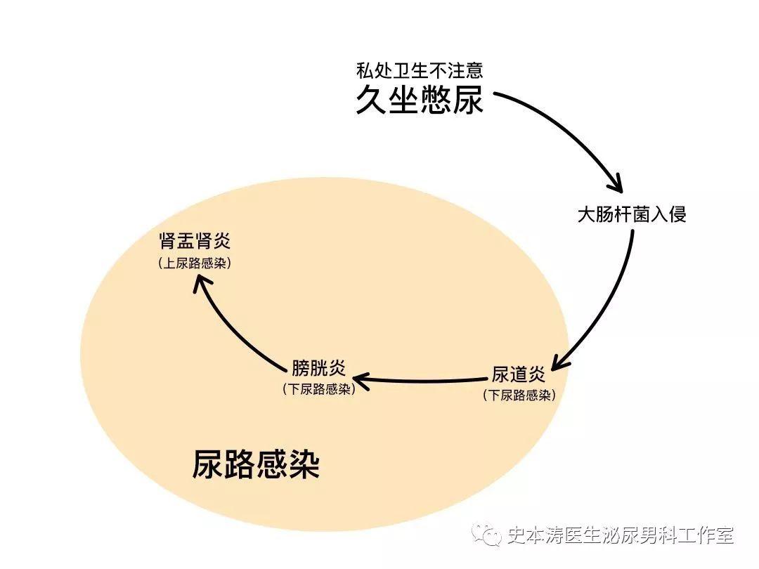 女性尿路感染,不只是"爱"惹的祸