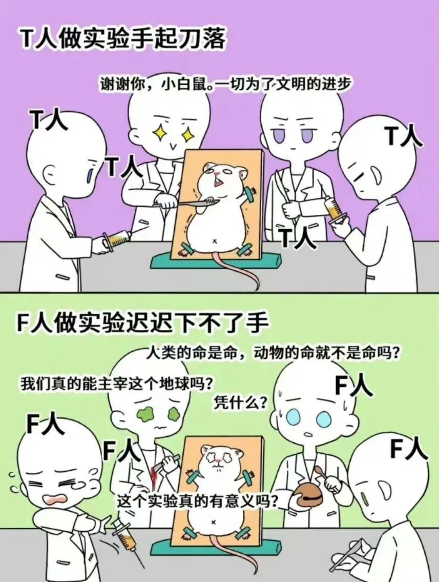 MBTI里的F人和T人能好好相处吗？ - 知乎