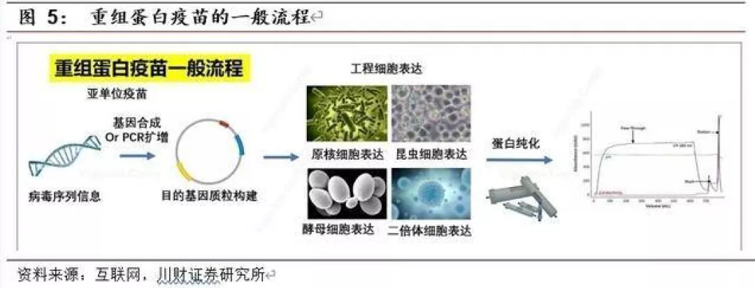 重组疫苗图解图片