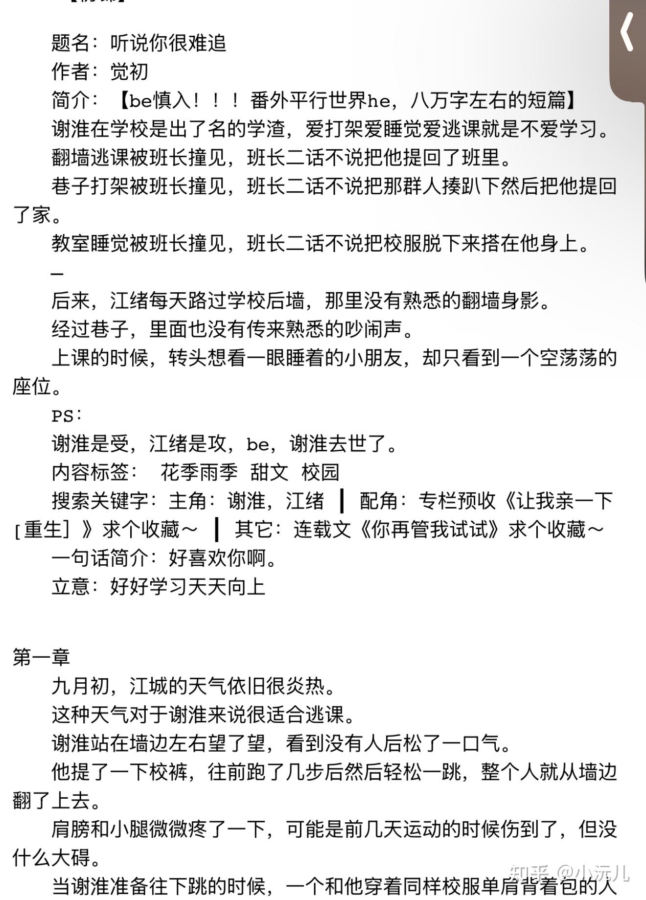 听说你很难追小说