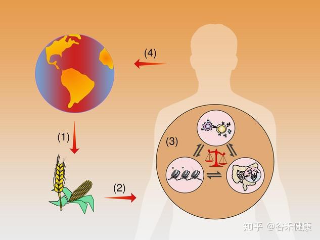 氣候變化通過影響飲食塑造微生物決定人類進化