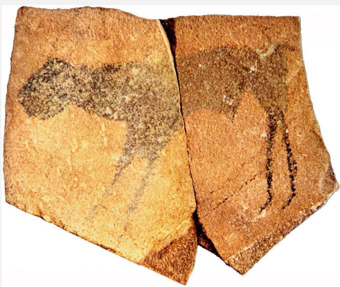 ap-art-history-identification-1-pre-history