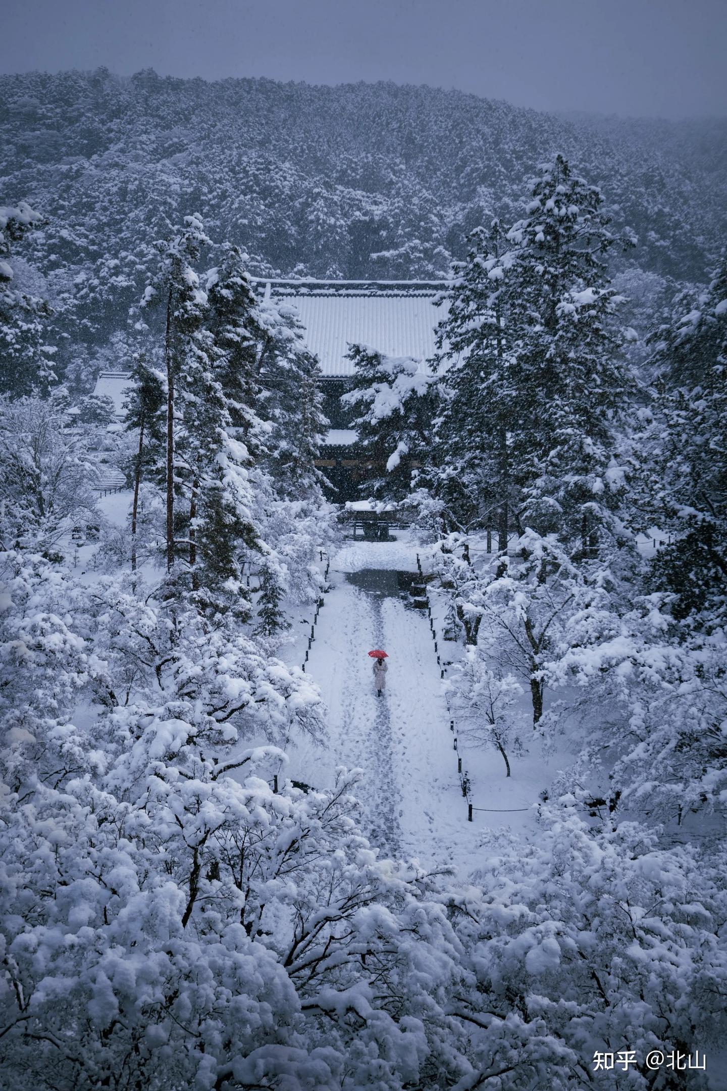 《雪国》——在寂静雪色中触摸生命的虚无 - 知乎