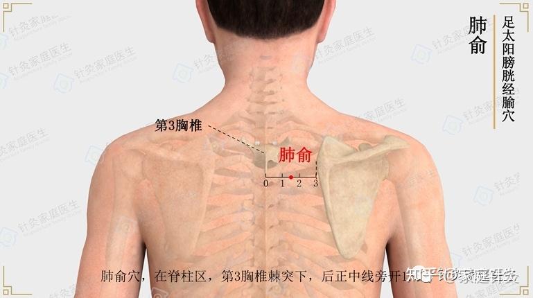 体检查出肺结节,别慌!艾灸三组穴位,调治肺结节 - 知乎