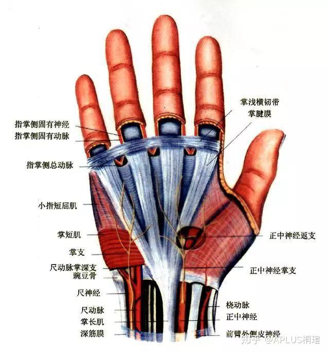 v2-9a0fd1ef4c864a4177f04d87bc7d084d_r.jpg