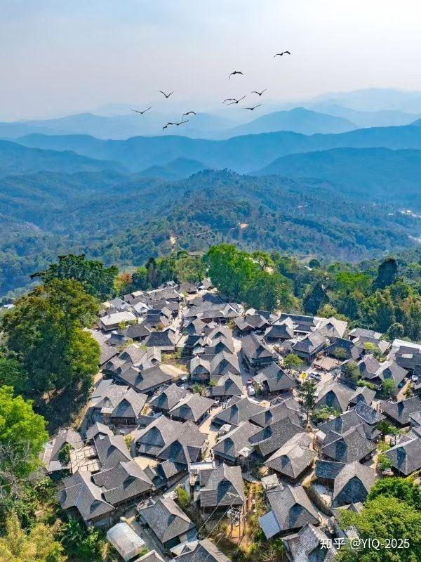 2025中国候鸟式养老夏季栖息地点评(7):普洱 - 知乎