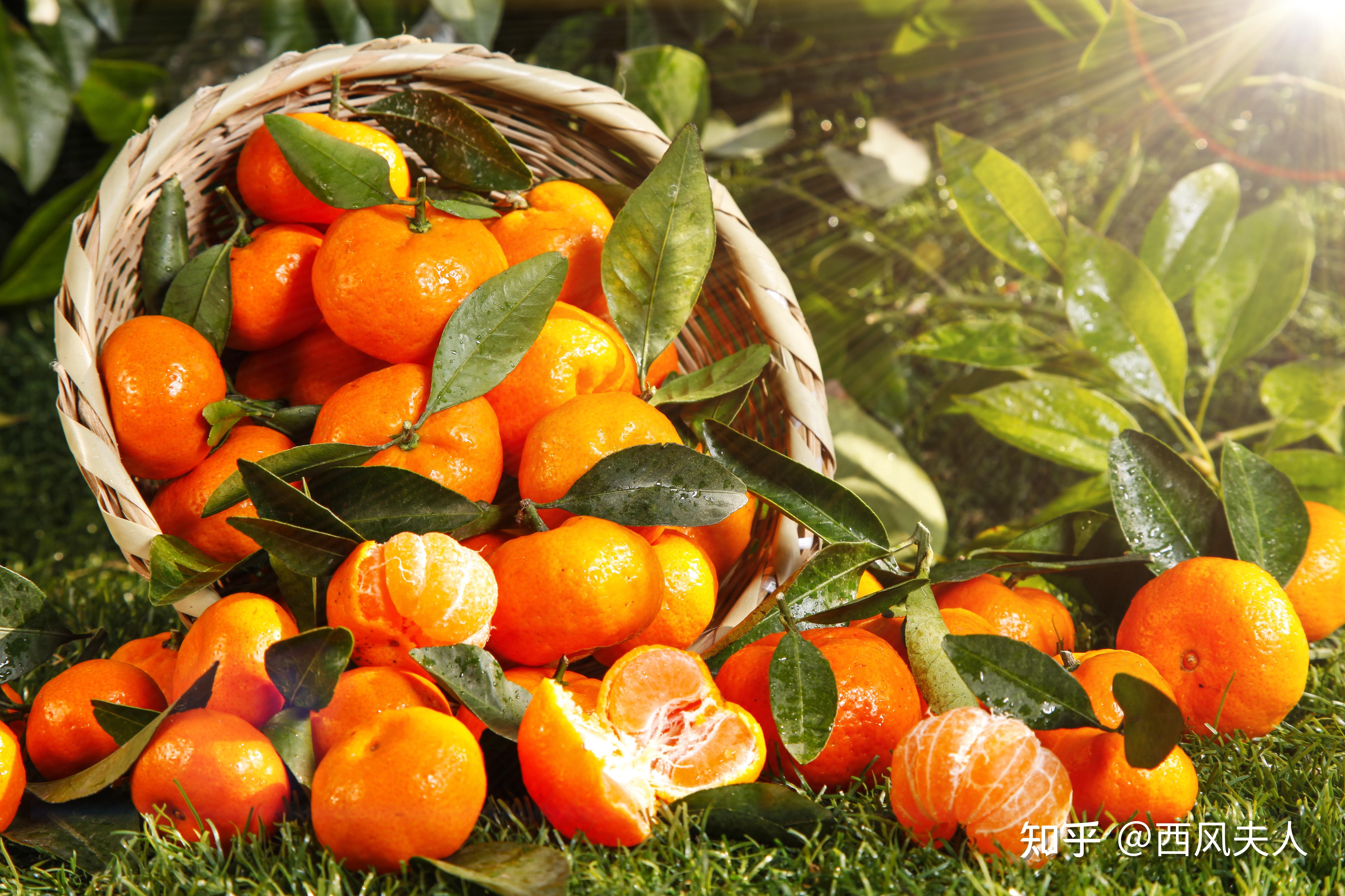 人生的果实金秋十月最适合读的励志句子莫错过