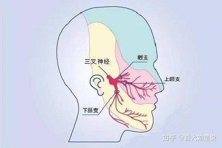 首大李健东 注意面肌萎缩的早期症状早发现早治疗 知乎