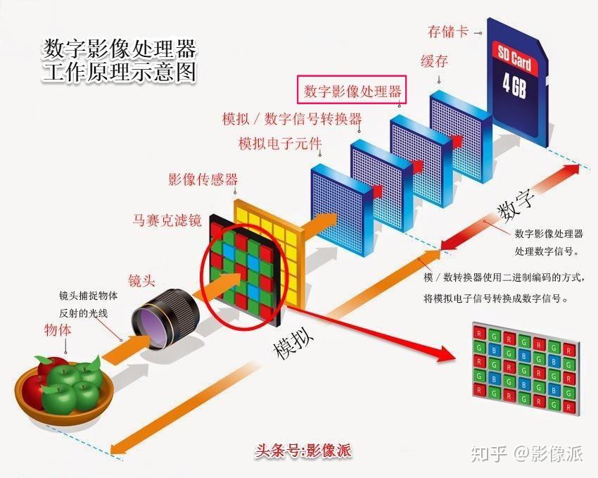 感光度越高曝光量就越大吗？为什么高ISO会带来噪点？干货答案在此 - 知乎