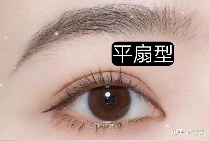 2,平扇型:雙眼皮內側稍窄,外側稍寬,介於平行和開扇之間,在內眼角位置