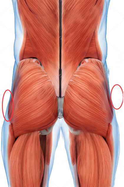 臀部两侧凹陷到底是什么原因?