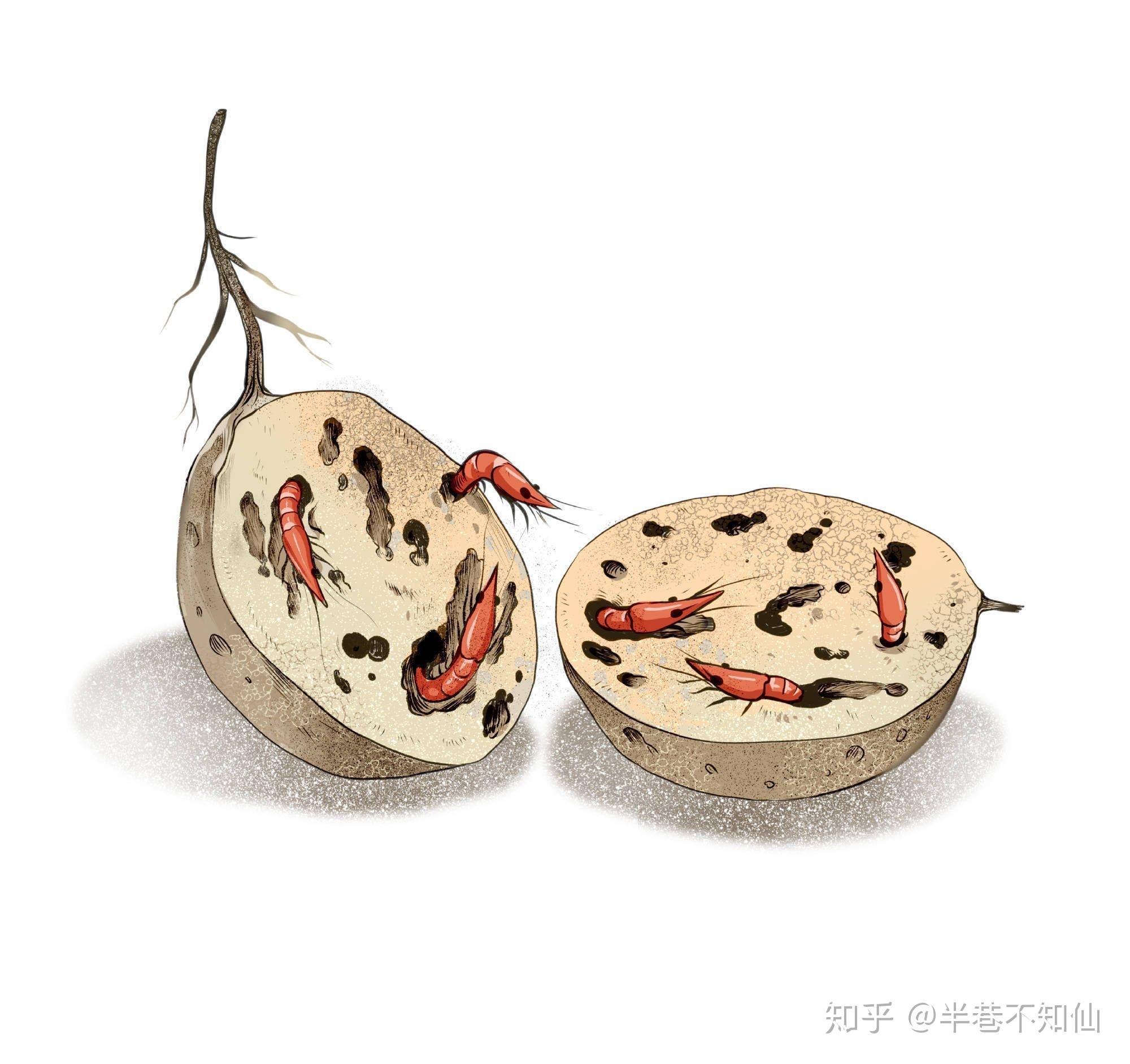 爆裂风车再发文,肖战工作室回应「造谣,你要为你说的每一句话负责任」