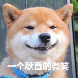 新人成为网文作家有哪些必要条件 知乎