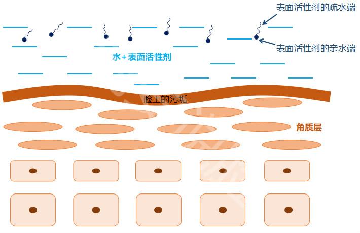 洗面奶使用时一定要用起泡网打出丰富的泡沫吗