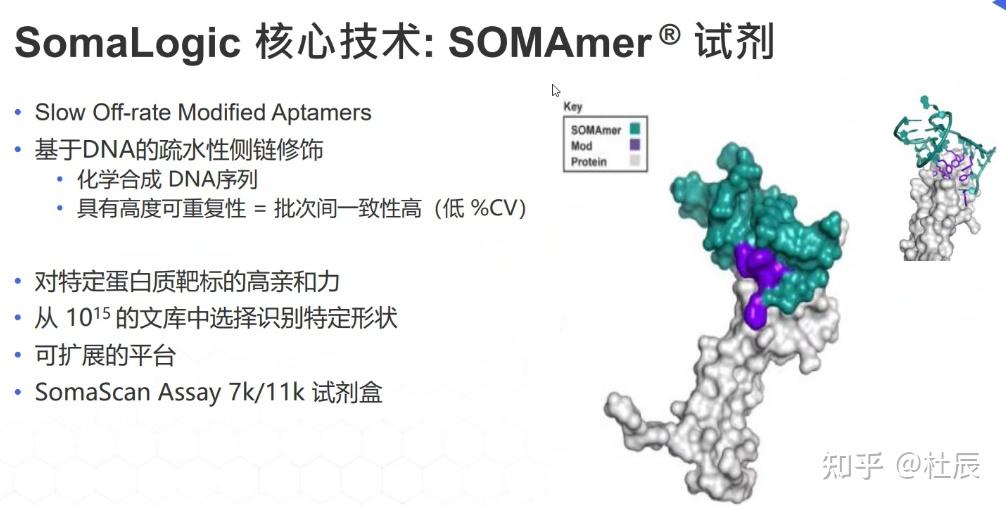 三千字长文！基于质谱，抗体，受体的蛋白质组学和SomaScan原理 - 知乎