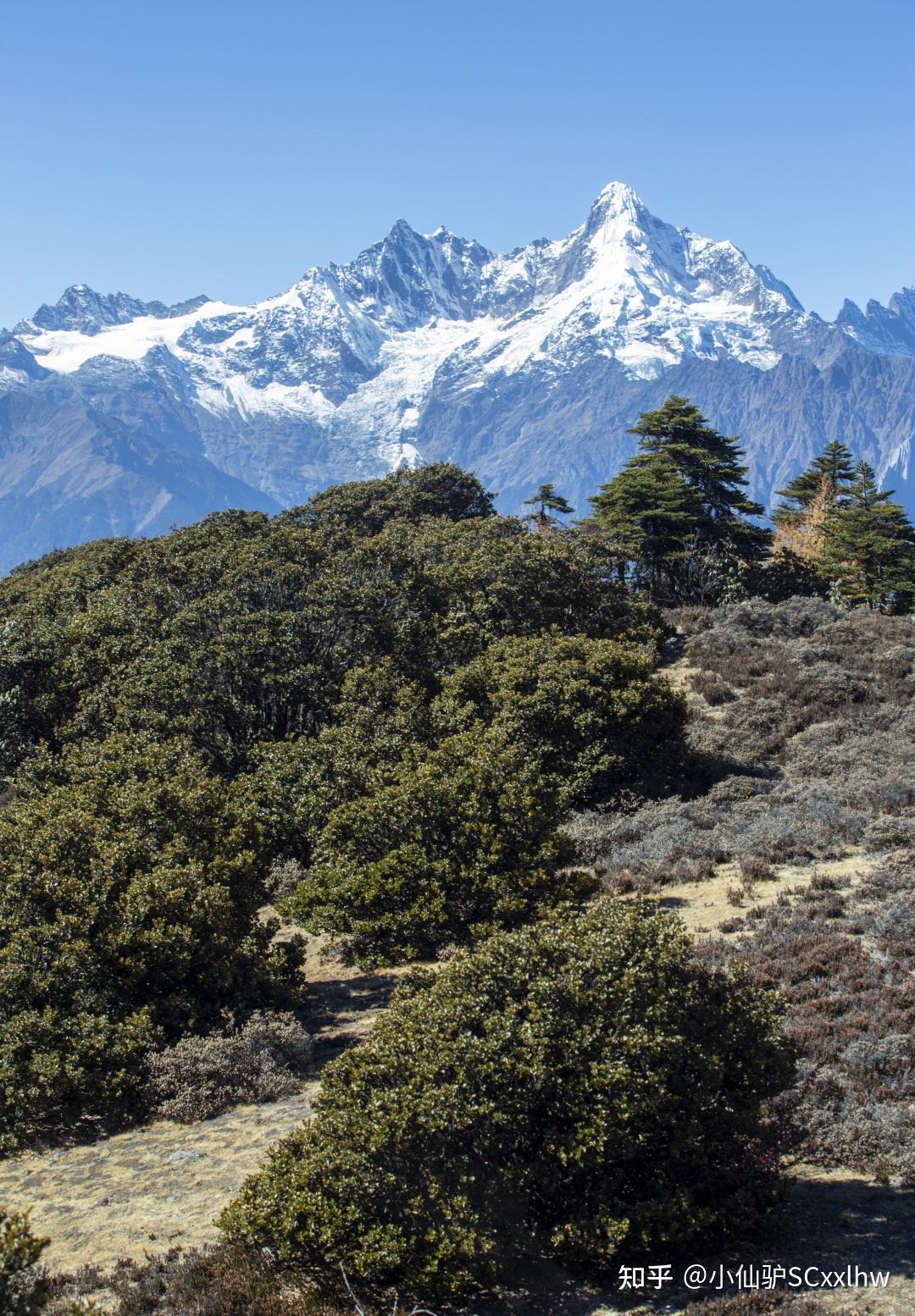 高山松林带,针阔混交林带,亚高山暗针叶林带,高山灌丛草甸带,流石滩