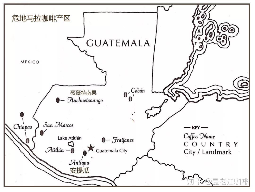 危地马拉咖啡主要种植在偏西南地区,咖啡品种是古老的纯正波旁种系.