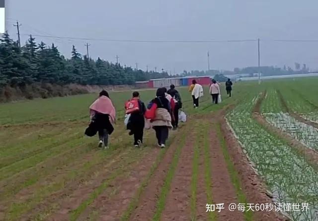 10月31日,星期一,在这里每天60秒读懂世界! 10月31日,星期一,在这里每天60秒读懂世界!