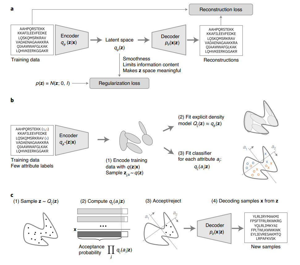 Accelerated antimicrobial discovery via deep generative models and ...