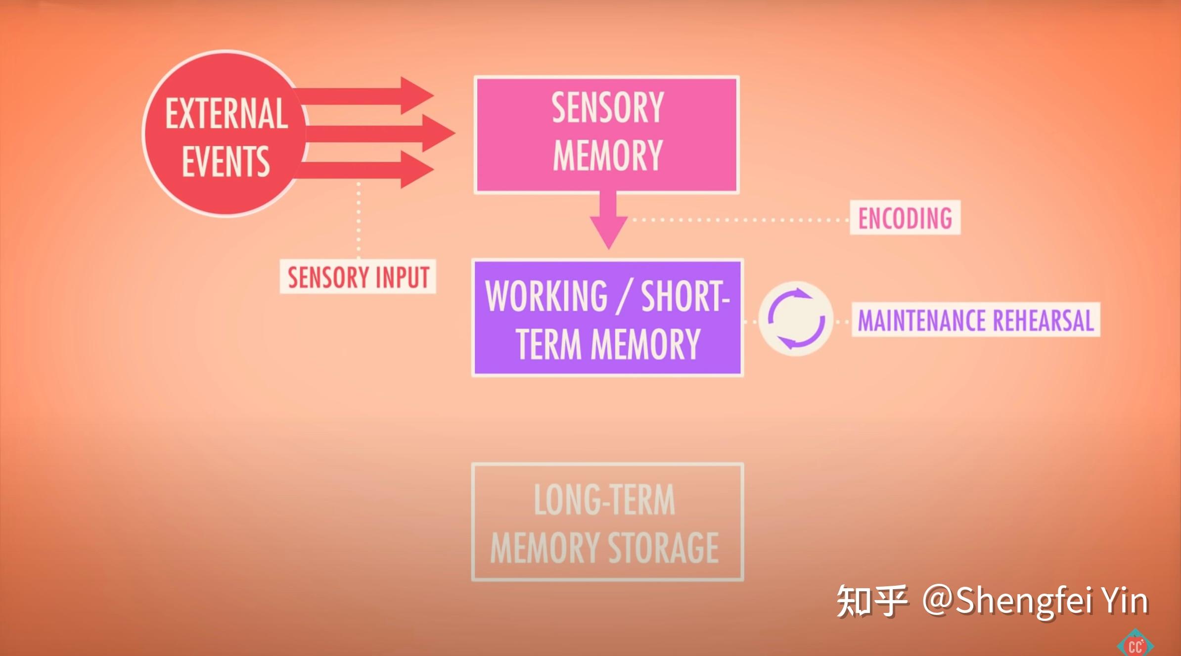 How We Make Memories Crash Course Psychology 13 