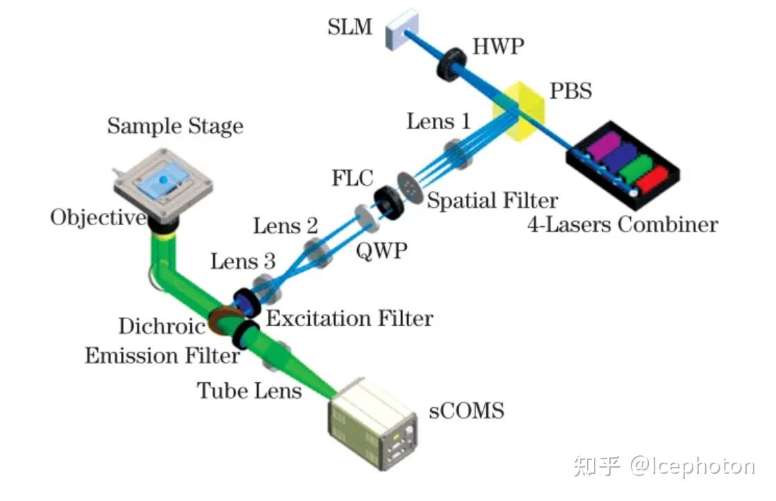 5分钟了解超分辨显微之成结构光照明显微成像 - 知乎