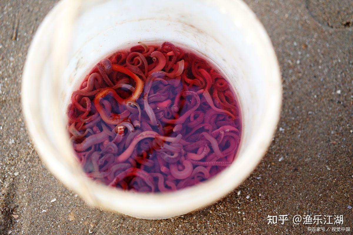 气温低鱼不开口怎么办?